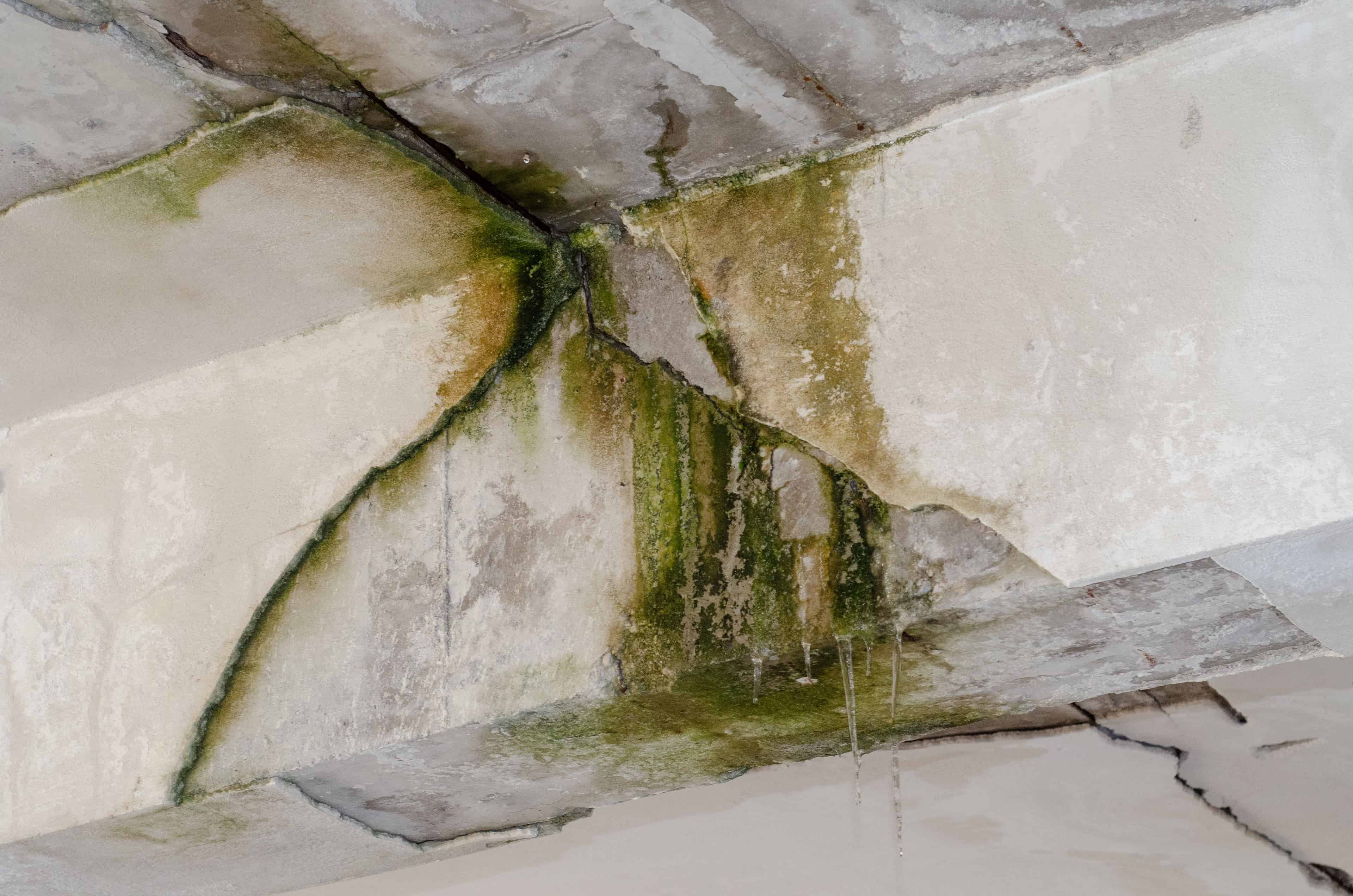 Water Damage Restoration image